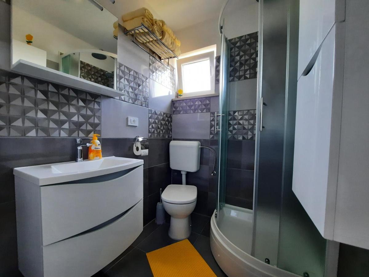 Apartmani Scripea Škrip المظهر الخارجي الصورة