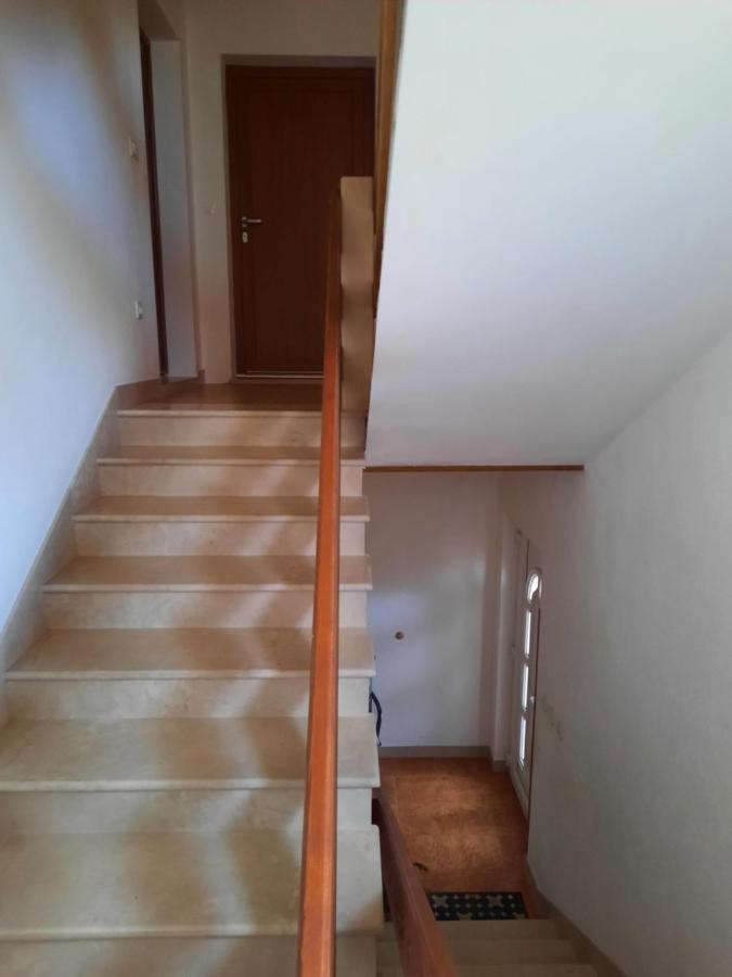 Apartmani Scripea Škrip المظهر الخارجي الصورة